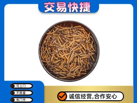 葫芦岛市南票回收散虫草